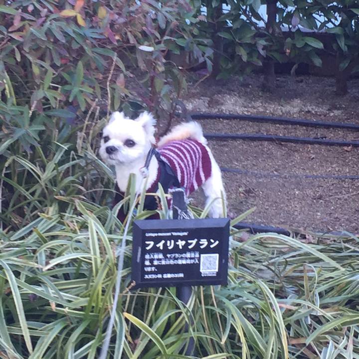 7b6275b8 266d 4c0a ba12 eeb66b70e7ec 1514206355110