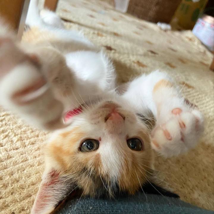 7b6287ef 14aa 474d 8edb 6c3fb9a2d94c 1629432315298