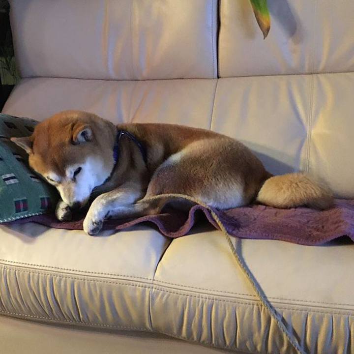 7b628caf 1908 4944 bf6c f7bc55bbd729 1541763379501