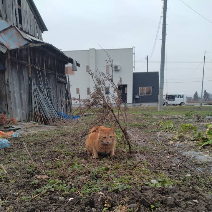 7b62adce 3cbb 4f87 a4c0 100bbea8723d 1679702758652