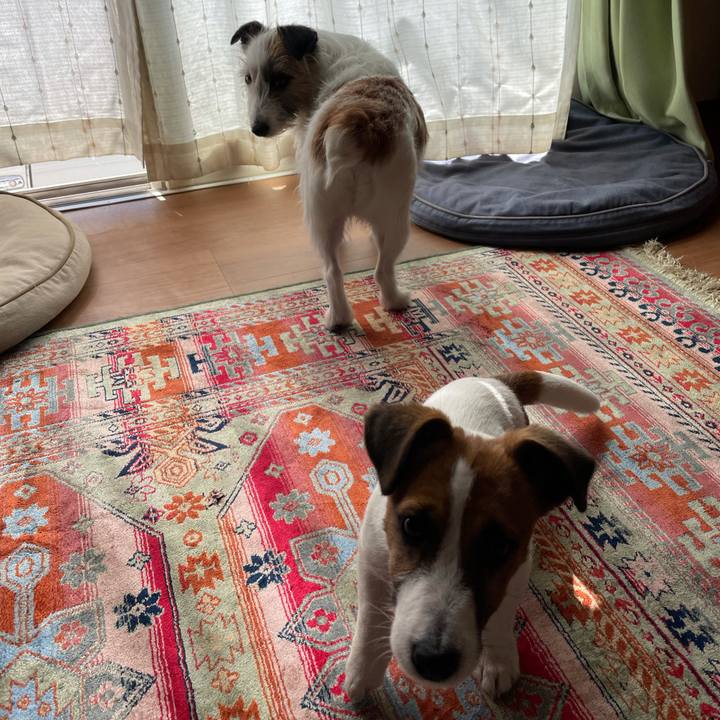 7b62be3a cce1 4cb1 882b f9be93e32aae 1620864932600