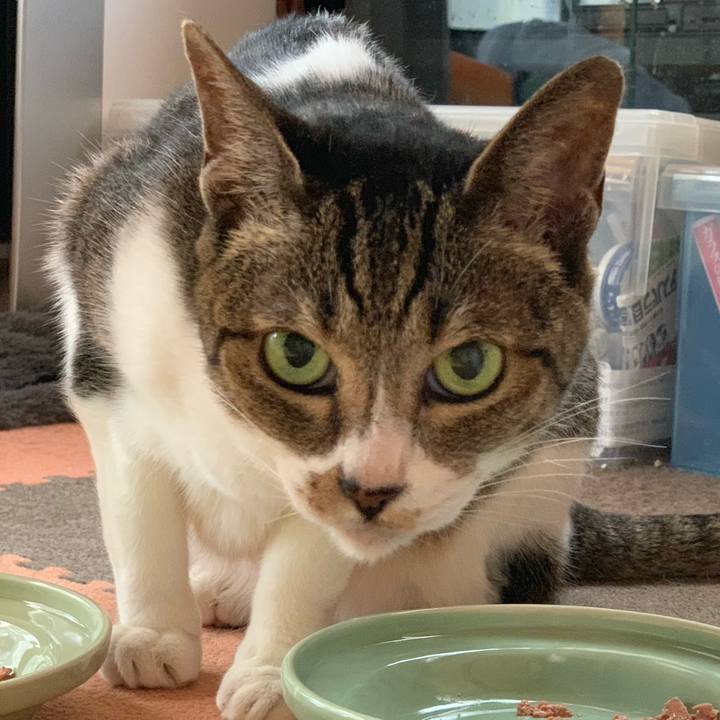 7b62c5b3 848f 4a7a b613 3c7b760f4baf 1561420909638