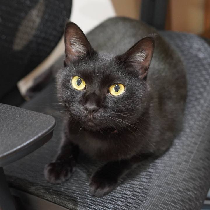 7b62d27c a750 43d9 93d3 2d1810053641 1600265314634