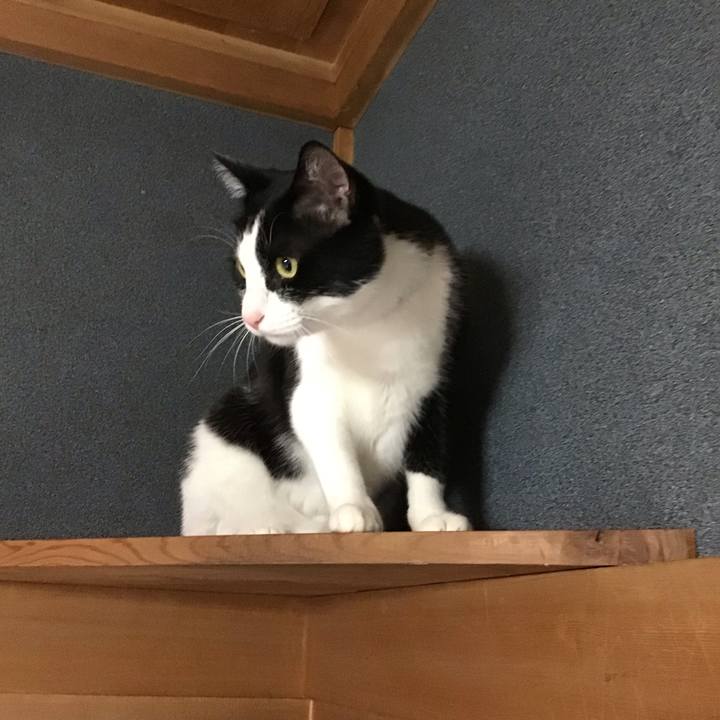 7b62d9b4 0d53 4730 9093 42d2dc16efbb 1686058894477