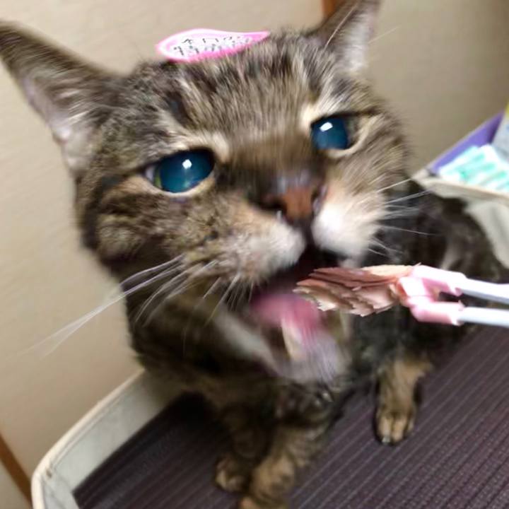 7b62e314 c110 460b badf 2f89bd0b3f8e 1575385046143