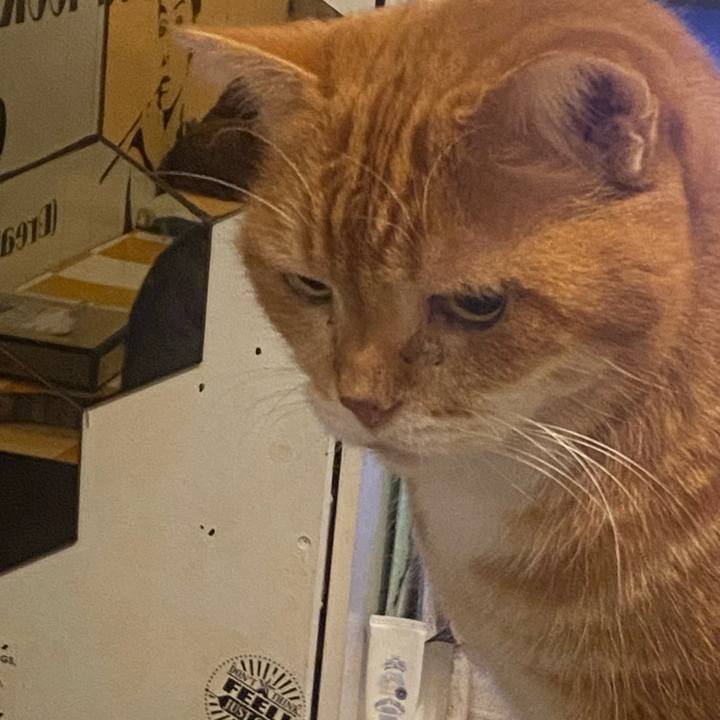 7b62f317 fa1c 415a 9868 5f2dcfb9d1dc 1731938732800