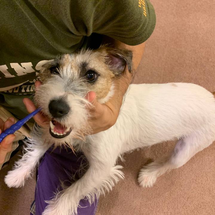 7b630a7c 6c83 40f3 9853 236d3bd0ae58 1599992960906