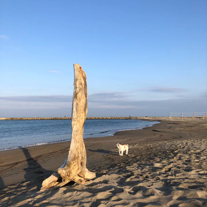 7b63398b aedf 4096 9657 09e860f02fe5 1605653861377