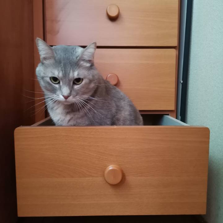 7b6375de 1468 4d04 bfee cec57616fc6b 1603251146032