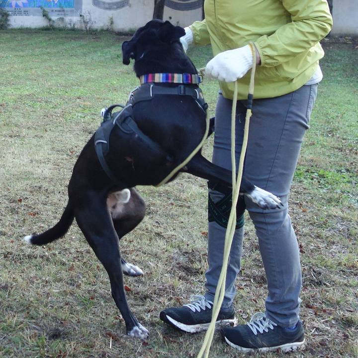 7b639352 e00a 4615 9eda 303c9d7b0136 1637369228785