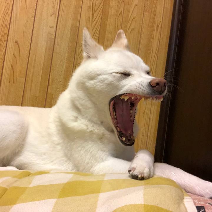 7b639d17 c80f 40fc 9f74 430712ddd5dc 1595079724080