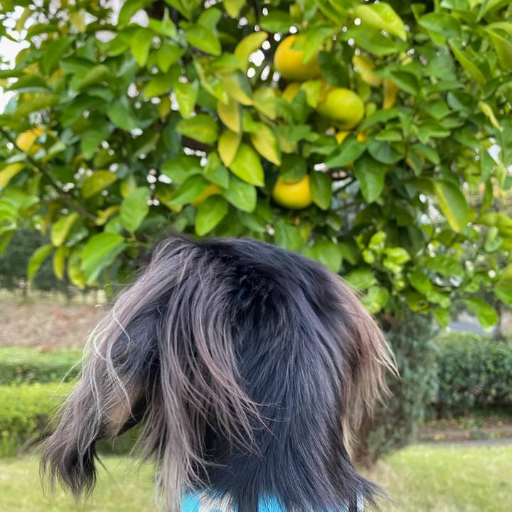 7b63bca7 3618 4e78 aa0e 7d8b38f4b422 1699429630987