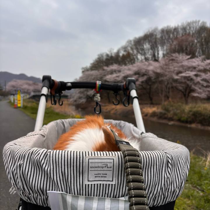 7b63e83d f5b2 4da3 8f02 f60f23c8cdf5 1774841659534