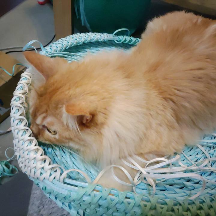 7b641817 54b2 4cad 88e7 388fc8d81128 1655632559716