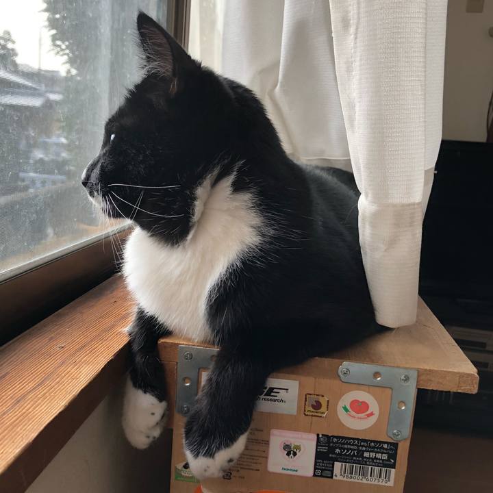 7b64196b 5f9f 4236 952e 85c7ef0a4548 1542602607514