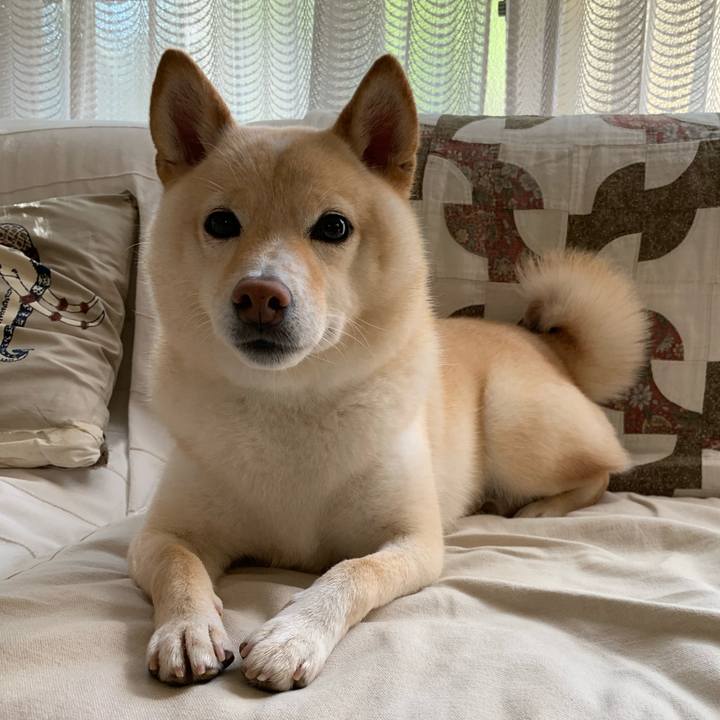 7b644c75 e59f 465e af86 331d55941afd 1628119622378