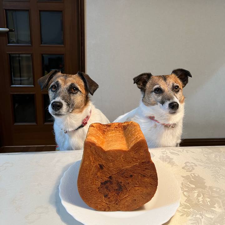 7b649ba9 ff9f 4b08 8690 939bbe49b065 1708581969606