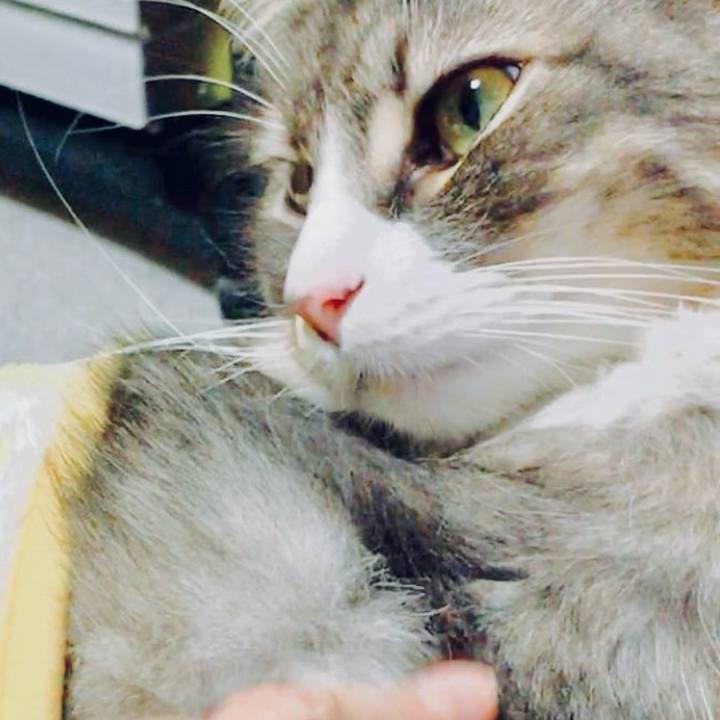 7b64d91f b977 4a6c b2a7 ac25eac8651c 1715625034735