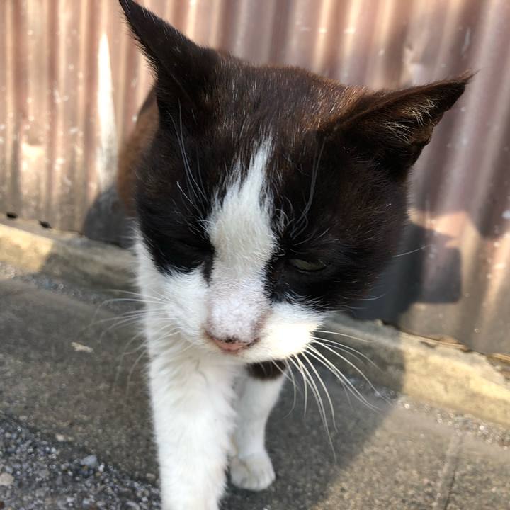 7b64f188 664b 49d9 862b abdfb38830dd 1554080007506