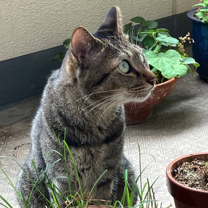 7b651e8c 476c 4811 ac80 7b1b8168d064 1757894867707