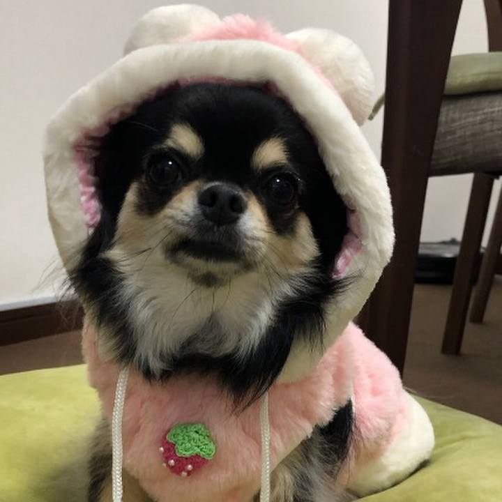 7b65a0ab b336 479d b9b3 c785d41b4e95 1601004657074