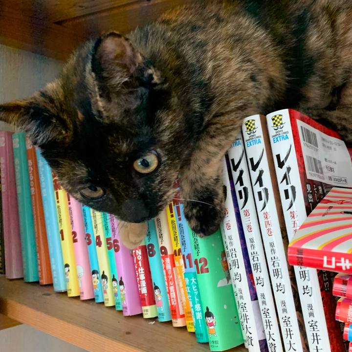 7b65a250 f182 4fb9 936b 82ddeae1494b 1573772482732