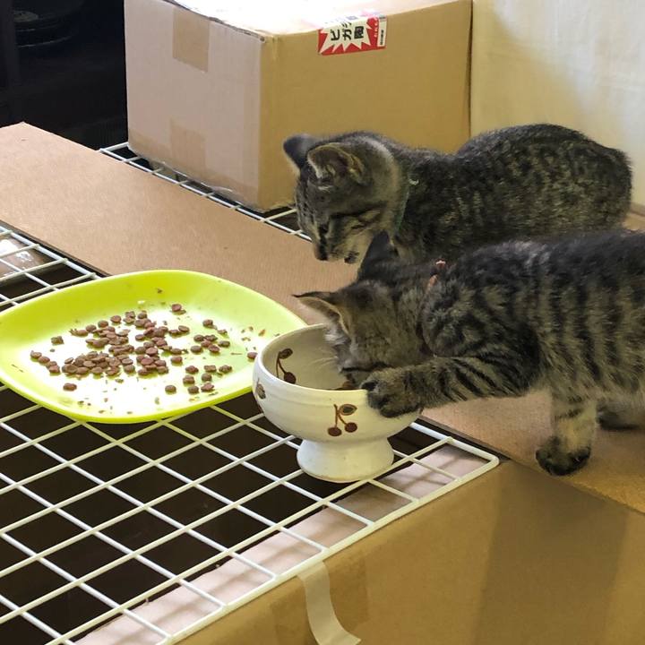 7b65e058 89d9 4b07 9c59 6f6f9271da3b 1601451540631