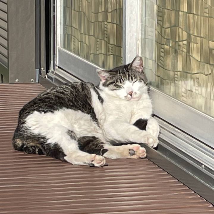 7b65fb45 b594 47c8 8374 5da9d2fb4f80 1618798966227