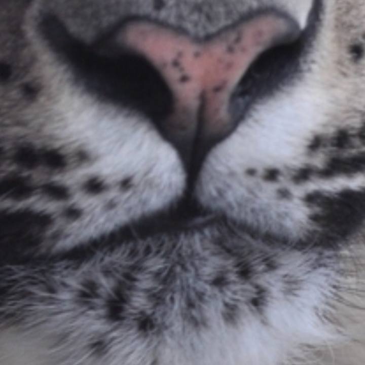 7b65fc41 e9be 49a7 aa6c 59016dfa621e 1526233325772