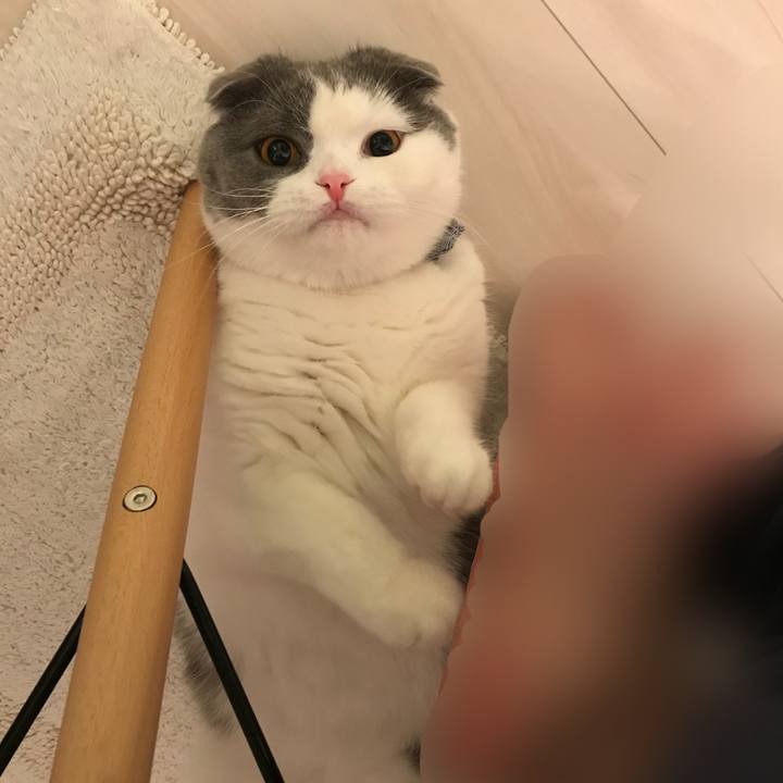 7b65fd62 00bc 4cde a450 77167d775584 1523885672596