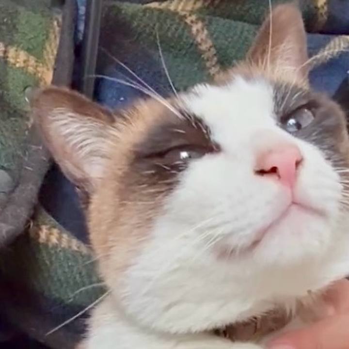 7b661238 b5f2 4ab1 ad56 b592ba838d41 1774840875638