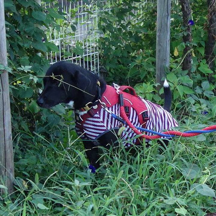 7b66156b a8d2 4996 a0c5 0103e1fc128e 1599176548131