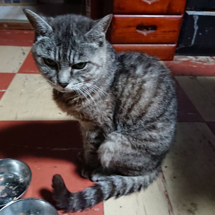 7b6617cd 6cfd 4f71 b7d7 32ef4055f5a6 1569873228110