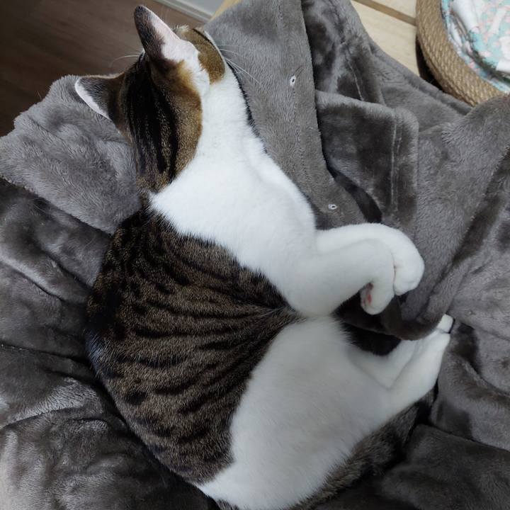 7b66940f 036d 476d 9c1c ee28df1070ad 1643413422099