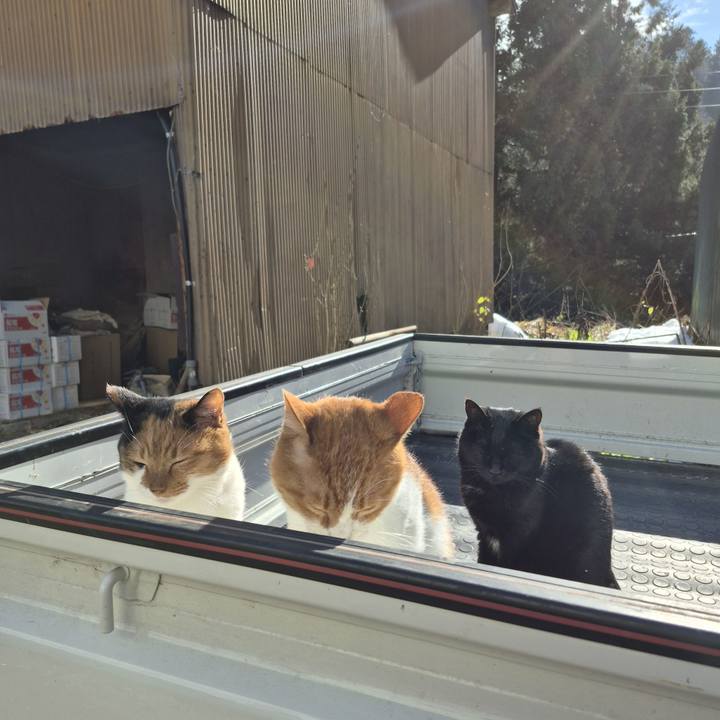 7b66a92a 3495 48c2 8b5e a10396f9656a 1765862479657