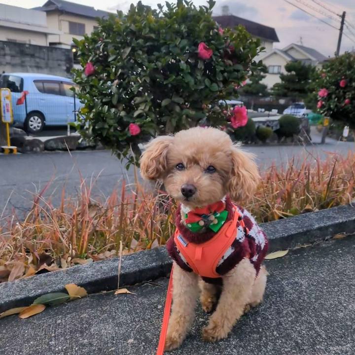 7b66d025 2478 4b8b ad1c fc8c0085cfd5 1766703639818