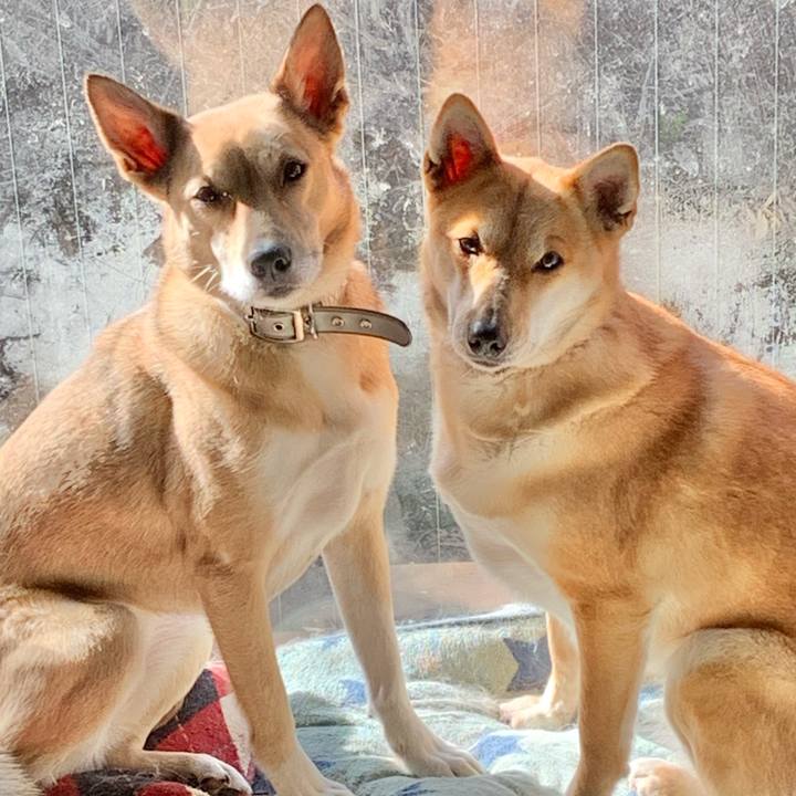 7b66debd ada7 4f4a 8bde b32b7887a04f 1614514972106