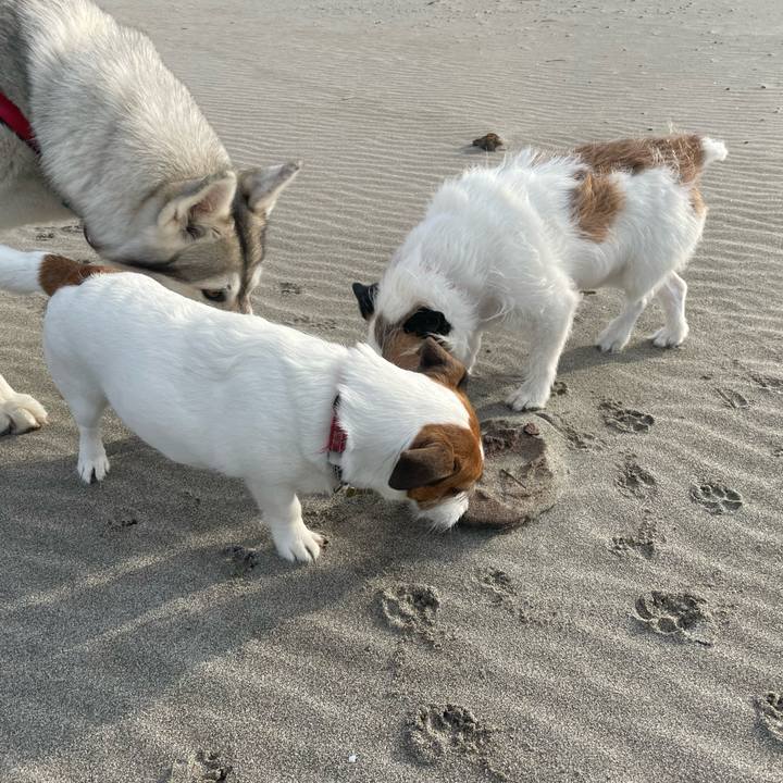 7b66e135 59e0 49a4 985d 60a07ba179d3 1743033133853