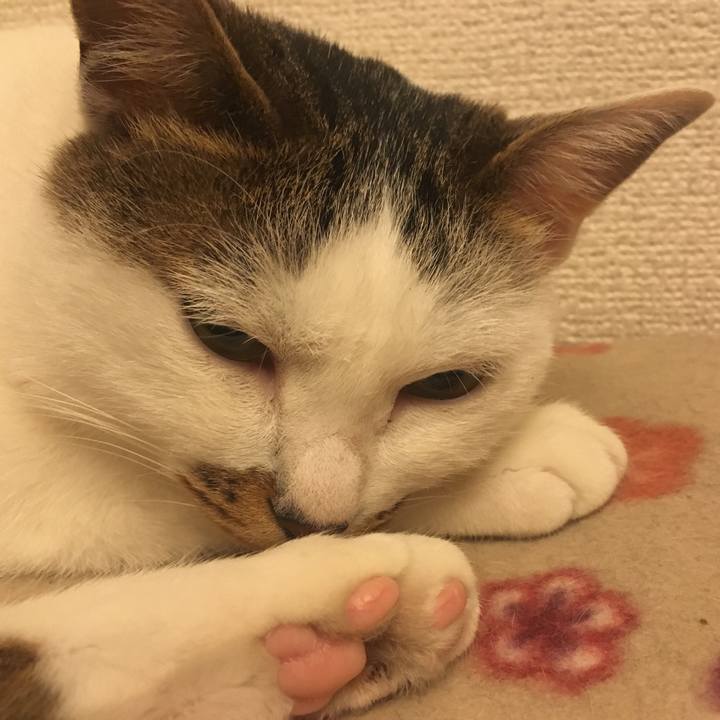 7b66f004 528c 4979 a475 743d18061da8 1542719332502