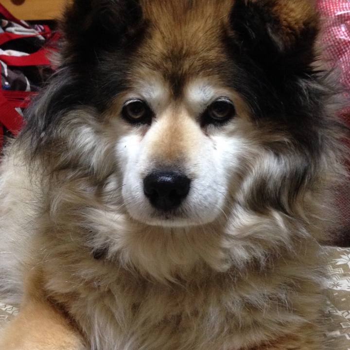 7b6700d7 72a2 4eab 9849 198c7b80cd75 1651587206053