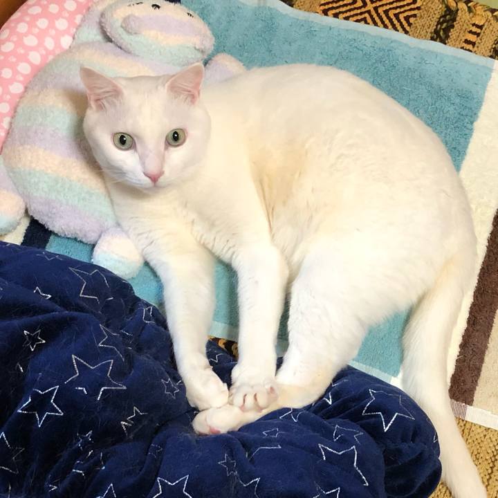 7b673c32 0b58 4d6c 9b0e 05193c5a9258 1584023649143