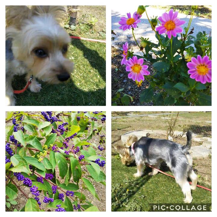 7b673d0e aca1 433c ab6f e1b156dff6b5 1602637605914