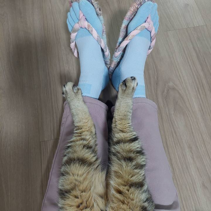 7b675c83 2280 43f4 8603 2c85d987cbc4 1772061760056