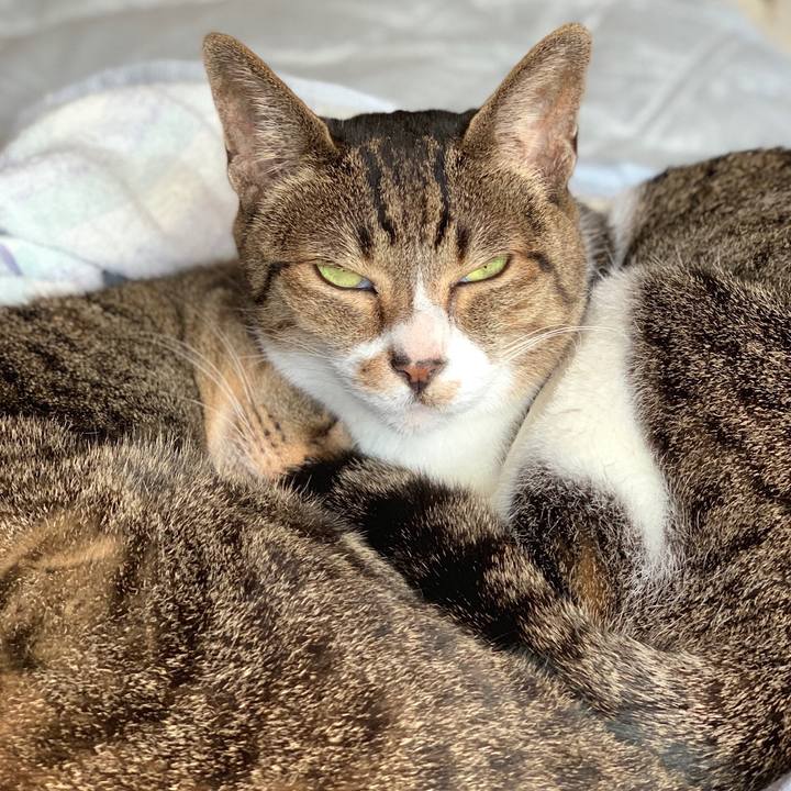 7b676420 ed5f 4f34 8e09 b0759a93f174 1560817709170