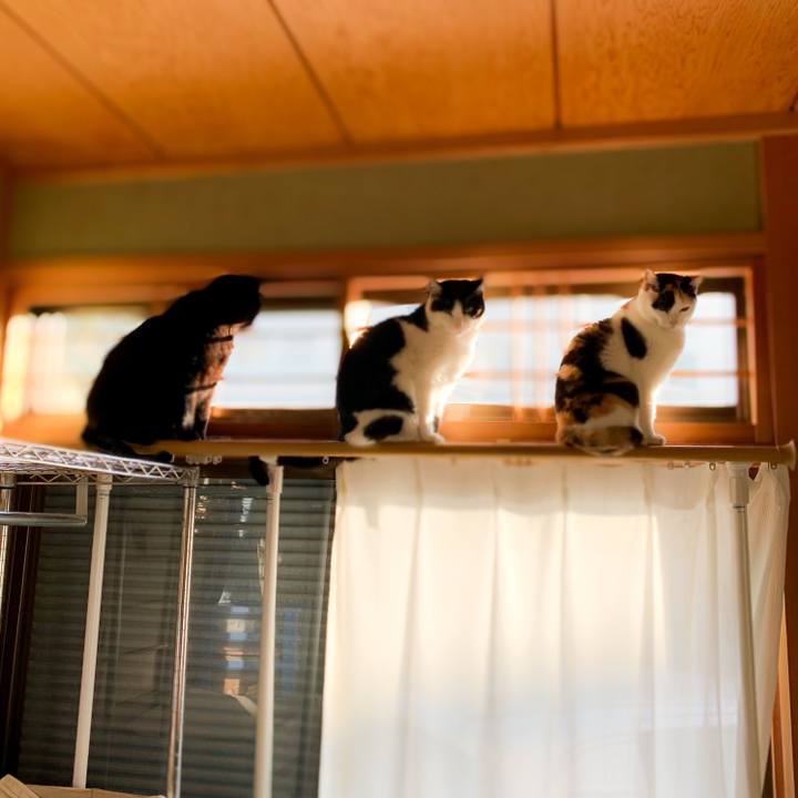 7b677b9d b81e 43cc 8b2d bf5191b01d4f 1586052715531