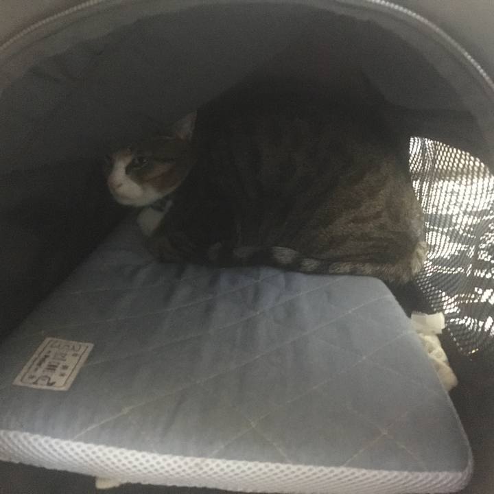 7b67a0db 6940 4df4 a79d 217dfb1f5d4a 1704098568015