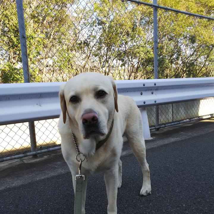 7b67b05a 29d8 44f3 a6d7 168c5262449e 1573177710266