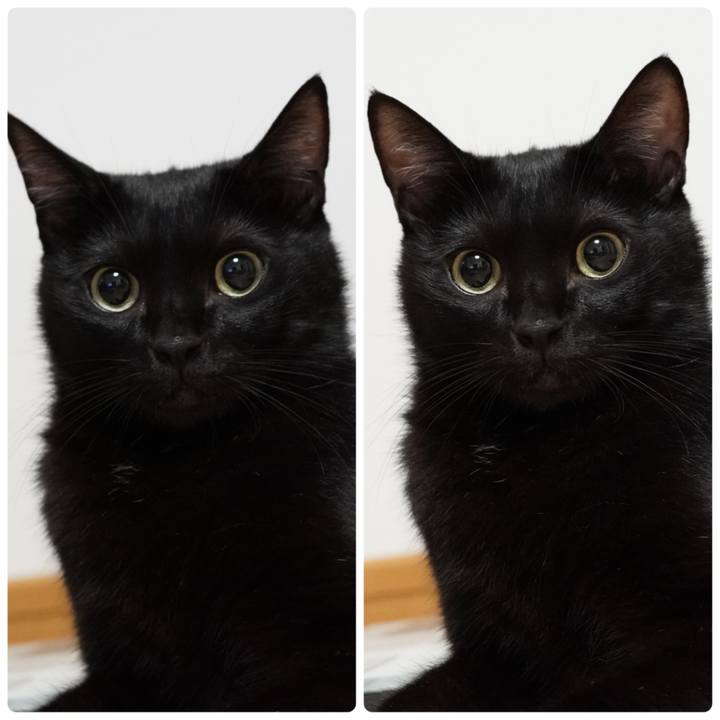 7b67efec a948 4c2d aac8 2d25fe7e1518 1663935320158