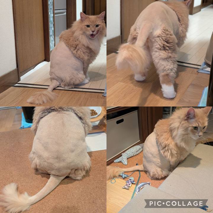 7b680831 1d17 47e2 b04e 443ecbed8032 1752321238039