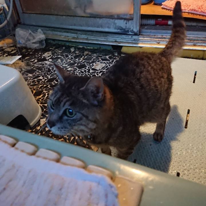 7b6841de e7f5 4923 b4e3 d5ab1434329e 1588152735371